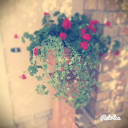 Dream Lounge Cafe 卡斯特罗齐耶罗